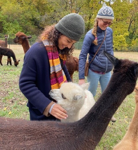 Students volunteer Tikkun, an urban farm and free food market