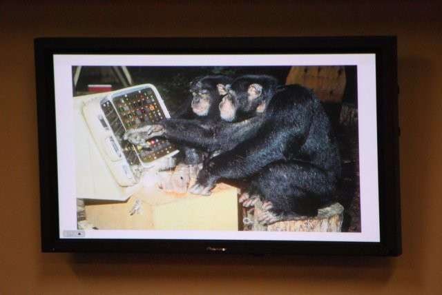 Two Monkeys playing with a gadget