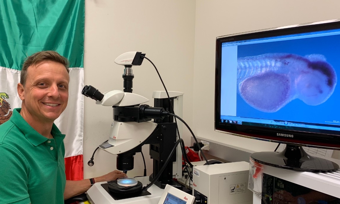 Prof. Gross in his lab