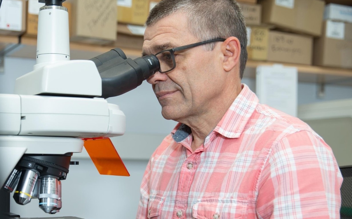Prof. Buschbeck in her lab