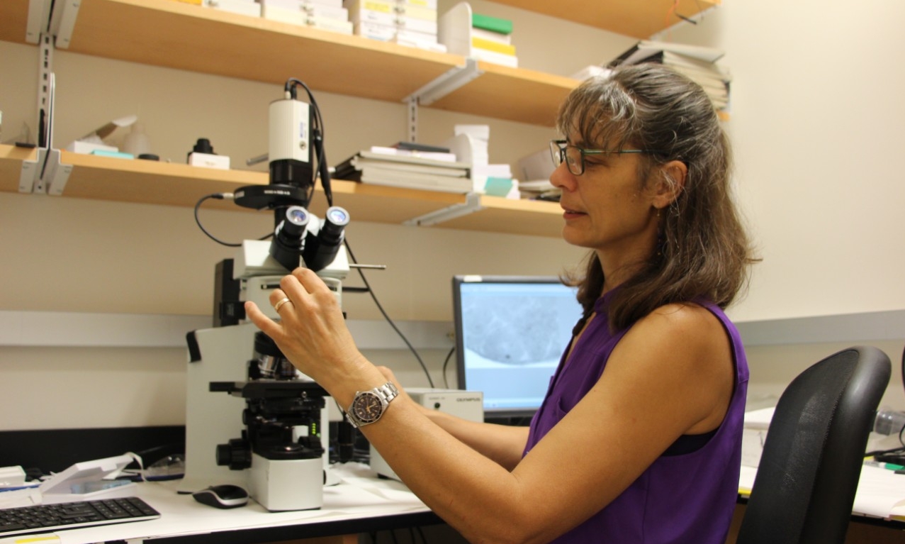 Prof. Buschbeck in her lab