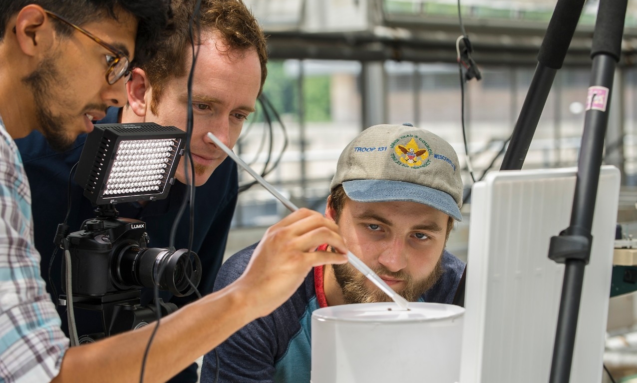 Undregraduate studies photos for Rebecca Farabaugh, Sennott Square and Crawford Hall, June, 24, 2015, 210185