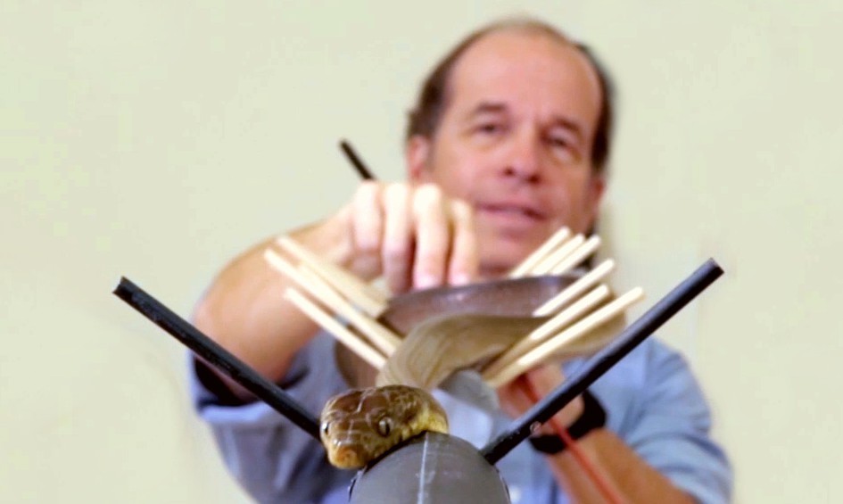 Prof. Jayne running a snake through an experiment