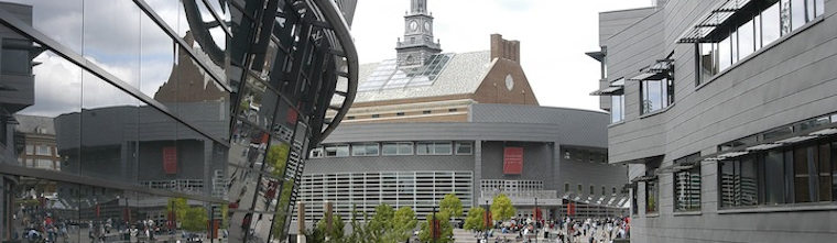 Photo of Steger on campus